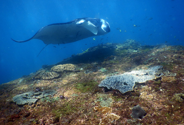 PenidaDive Sep18 119.jpg