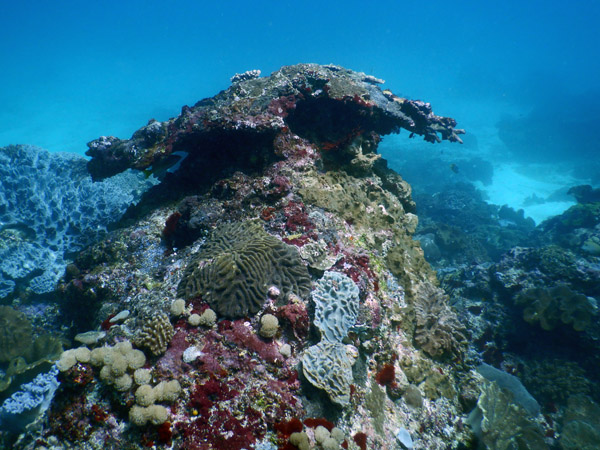 PenidaDive Sep18 171.jpg