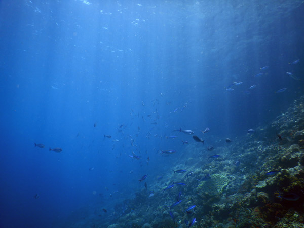PenidaDive Sep18 229.jpg
