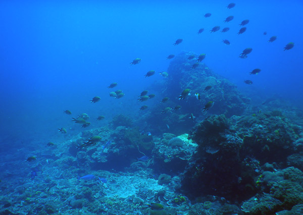 PenidaDive Sep18 233.jpg