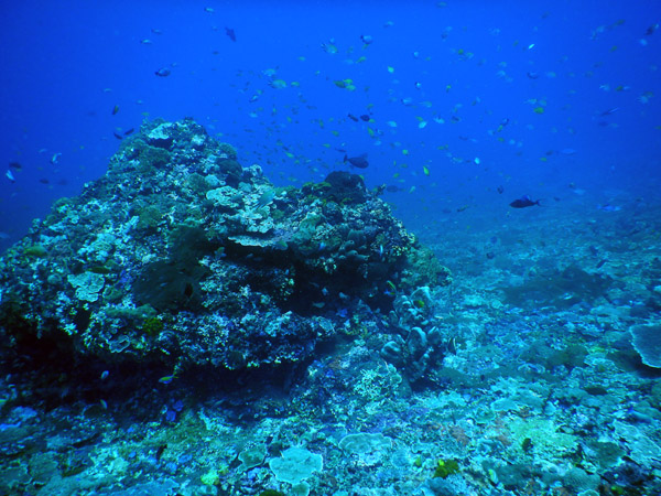 PenidaDive Sep18 238.jpg