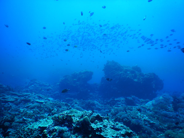 PenidaDive Sep18 248.jpg