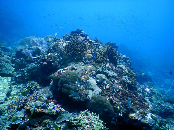 PenidaDive Sep18 254.jpg