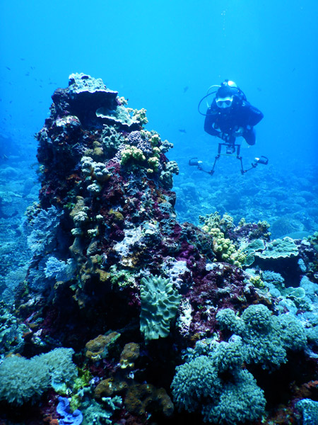 PenidaDive Sep18 280.jpg