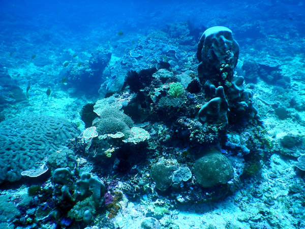 PenidaDive Sep18 297.jpg