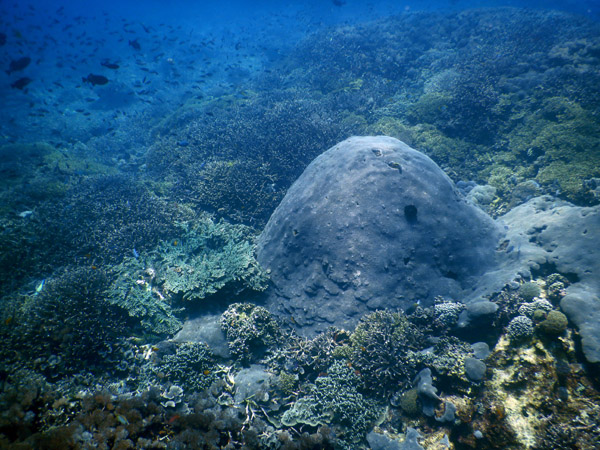 PenidaDive Sep18 327.jpg