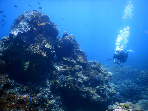 PenidaDive Sep18 330.jpg