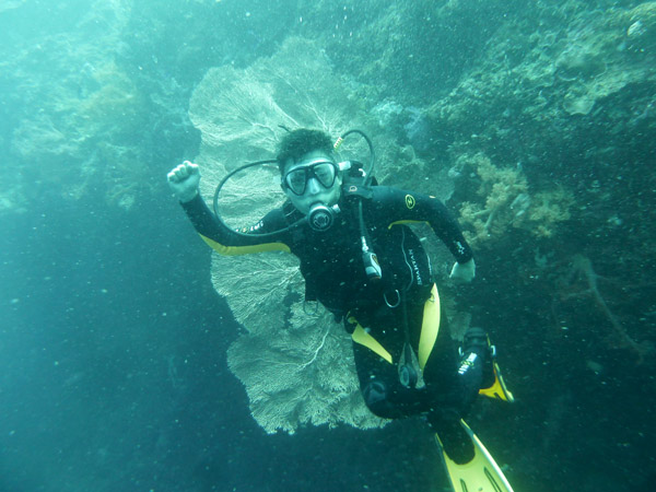 Dive 1 - Dolphin House