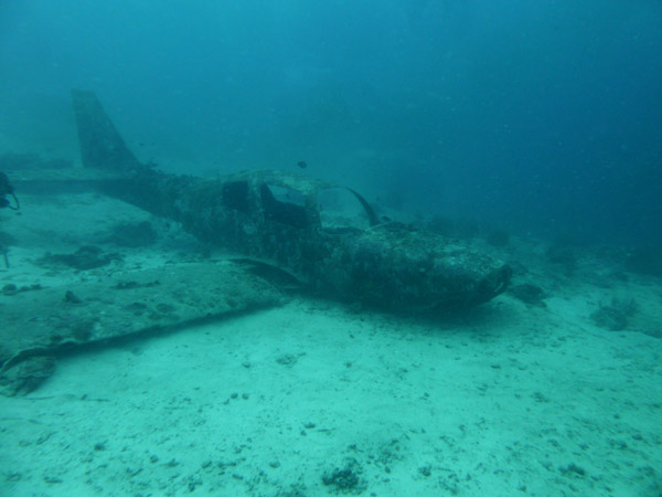Dive 3 - Plane Wreck