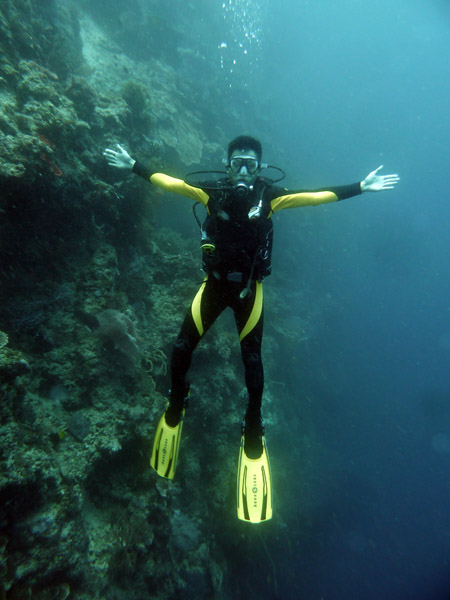 Dive 4 - Green Coral Sands