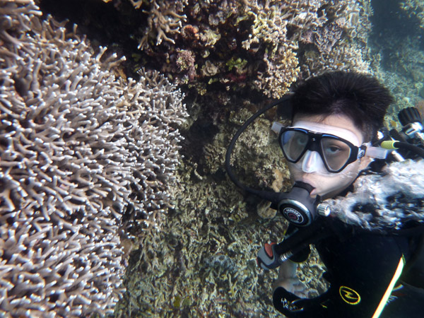 Dive 4 - Green Coral Sands