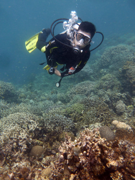 Dive 4 - Green Coral Sands