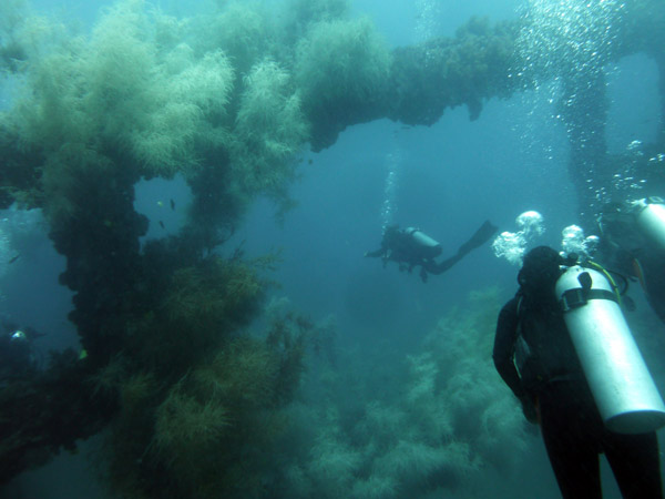 Dive 4 - Wreck of the Doa Ana