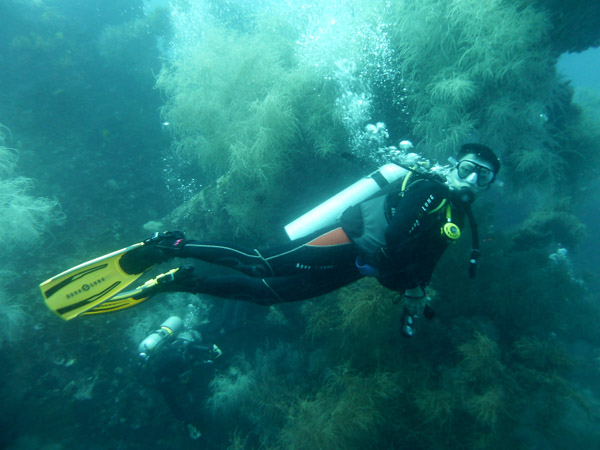 Dive 4 - Wreck of the Doa Ana