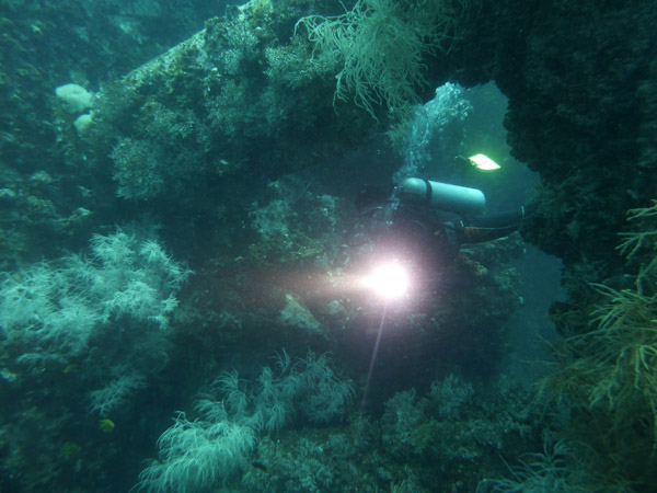 Dive 4 - Wreck of the Doa Ana