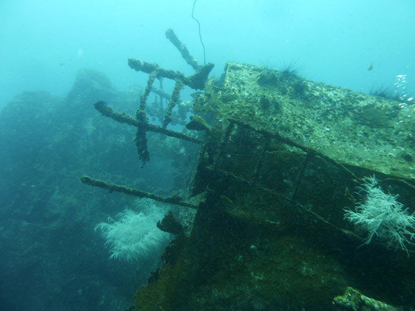 Dive 4 - Wreck of the Doa Ana