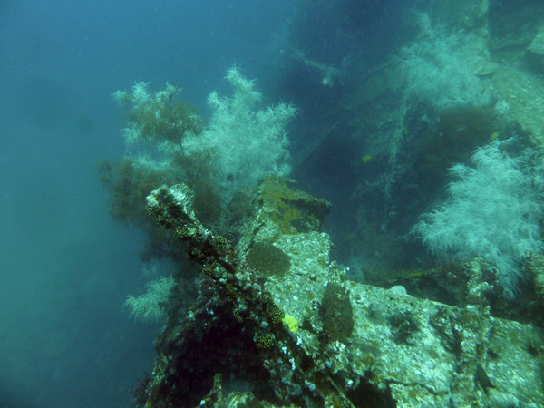 Dive 4 - Wreck of the Doa Ana