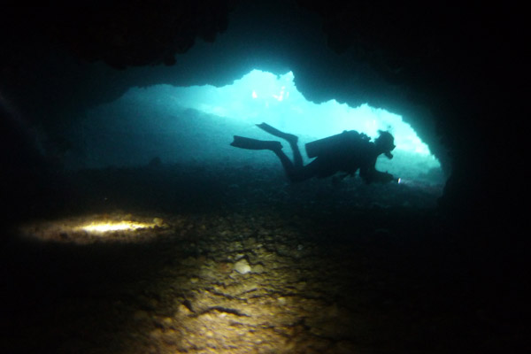 Dive 5 - Gato Island