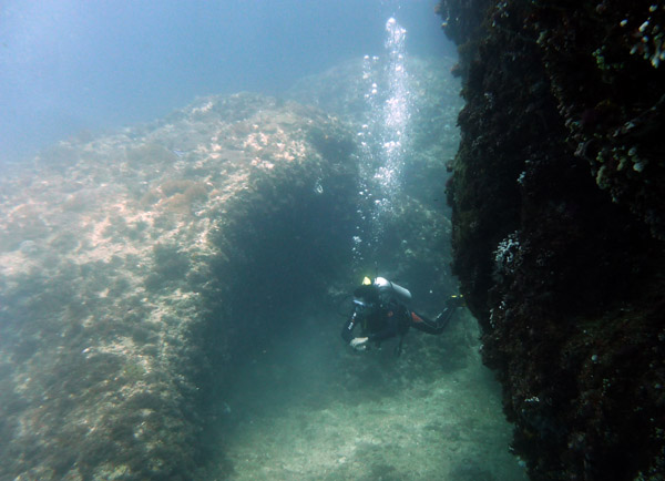 Dive 5 - Gato Island