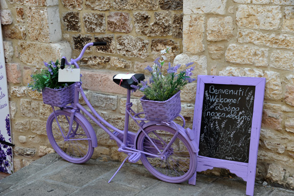 Painted bicycle at a lavender shop, Assisi