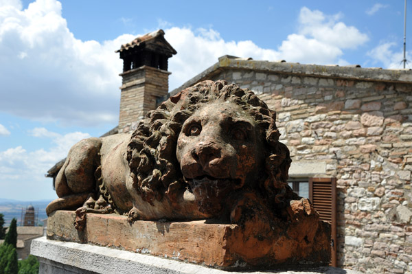 Lion opposite the Basilica of St. Clare, Assisi