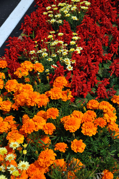 Flower boxes, Canazei