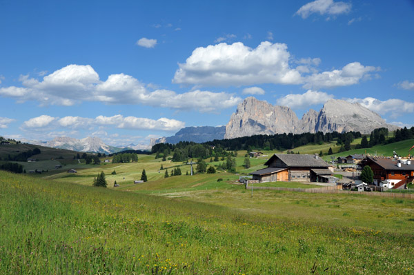 Alpine meadow - Seiser Alm