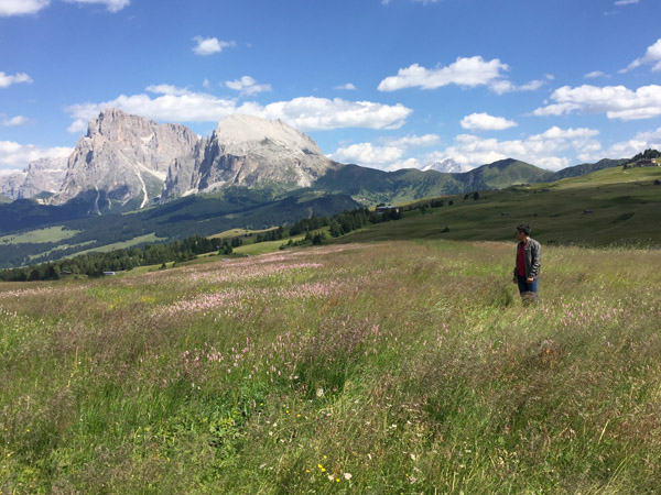 Europe's largest Alpine Meadow, Seiser Alm