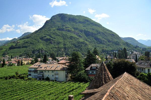 Forest-covered hill and vineyards, Schloss Maretsch