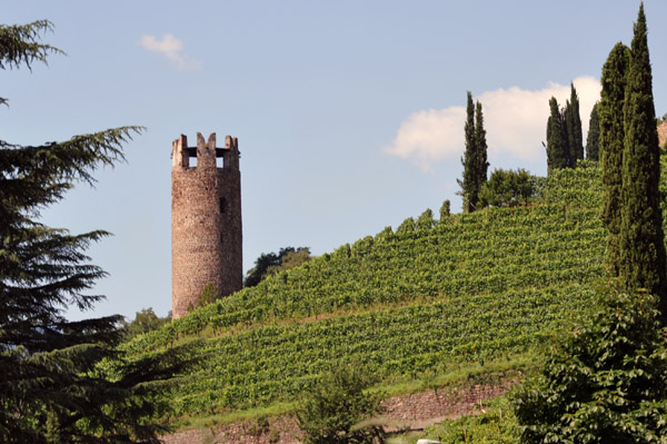 Treuenstein Castle - Torre Druso, Bolzano