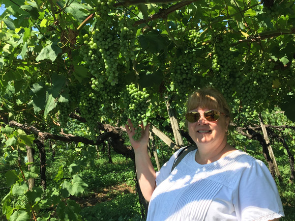 Debbie in the vineyard of Schloss Maretsch