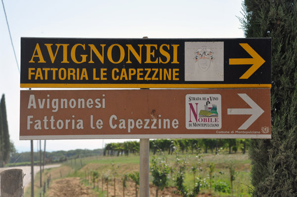 Avignonesi Fattoria le Capezzine near Montepulciano