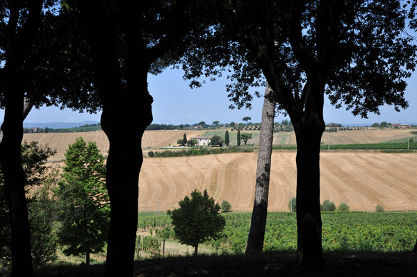 View from the Avignonesi Winery