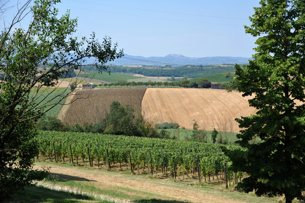 View from the Avignonesi Winery