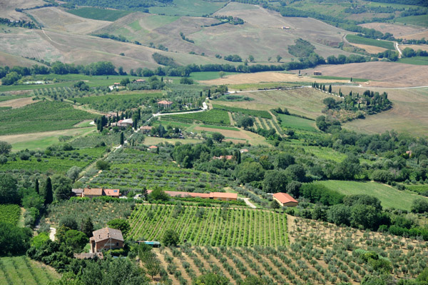 Vineyards and Orchards around Montepulciano