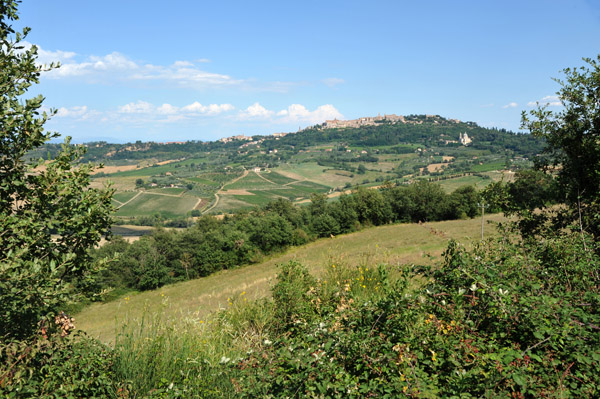 Montepulciano in the distance