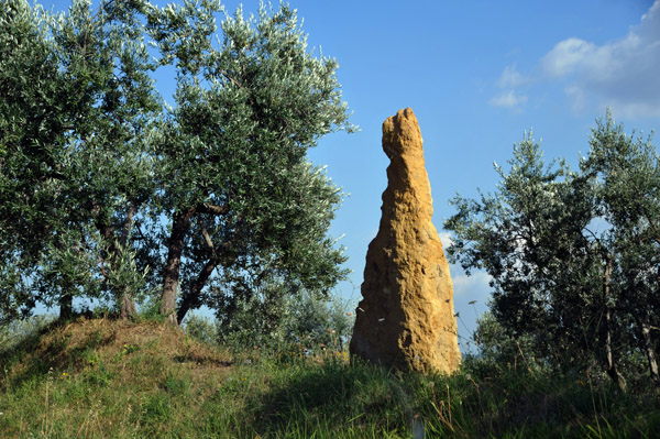 Termite mound, Tuscany