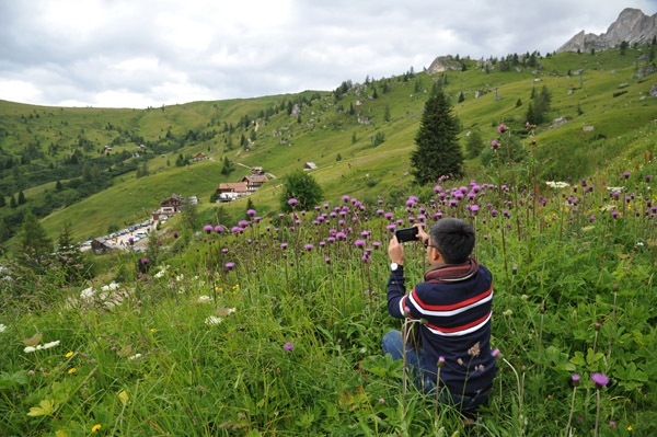 Photographing the wildflowers on the west side go Giau Pass