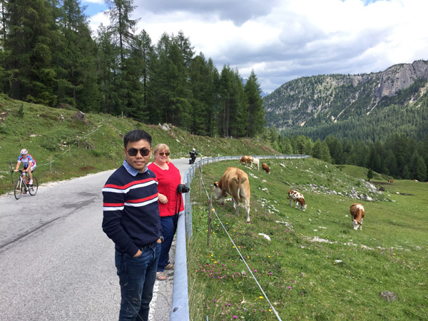 Tourists, Mountains, Cows (and a cyclist), Giau Pass