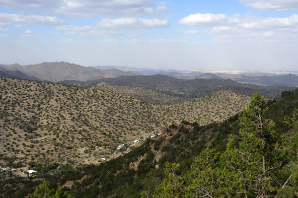 Taif Oct19 062.jpg