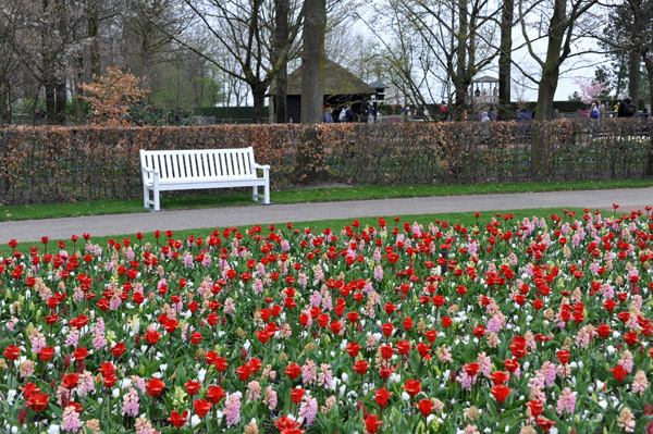 Keukenhof Garden early in the season, March 2019