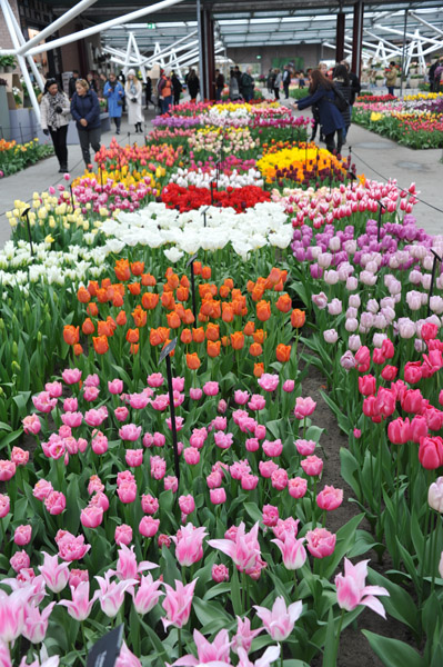 Willem-Alexander Pavilion, Keukenhof