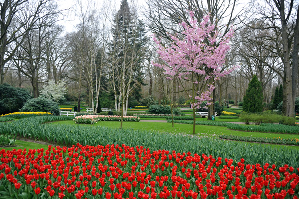 Keukenhof  