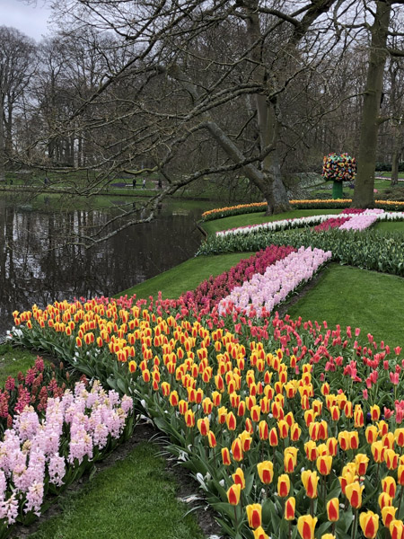 Keukenhof  