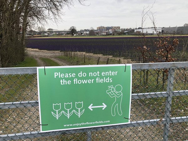 Please do not enter the flower fields