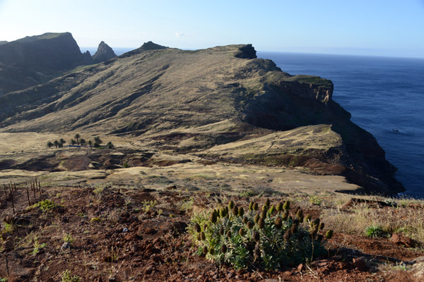 Madeira May17 148.jpg