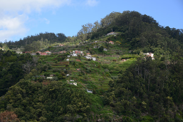 Madeira May17 205.jpg