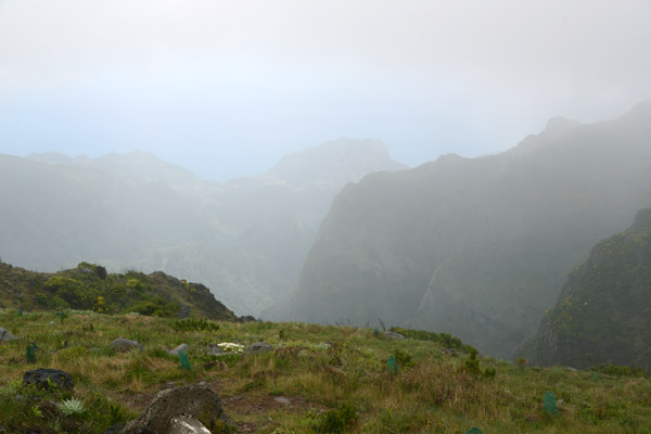 Madeira May17 207.jpg
