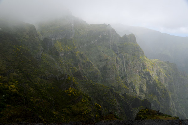 Madeira May17 209.jpg
