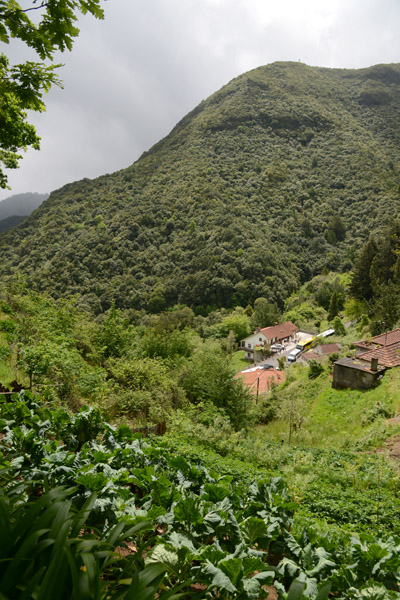 Madeira May17 216.jpg